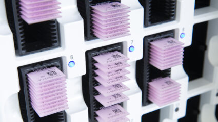 Pathologiefriesland Maart 2021 Uitsn 4572